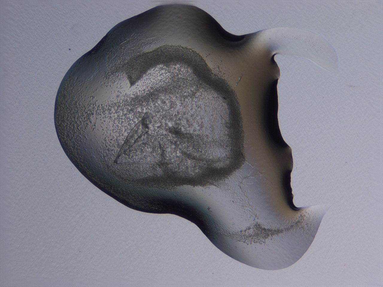 04g4_H5_ImagerDefaults_3.jpg