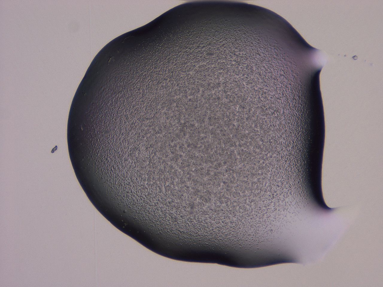04g4_H6_ImagerDefaults_3.jpg