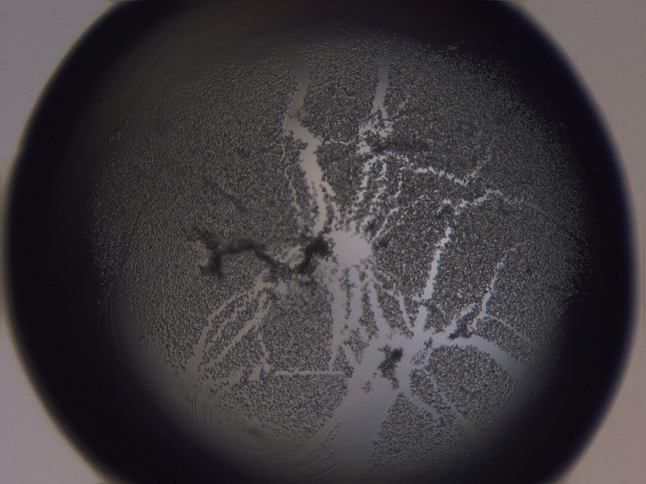 04g4_H8_ImagerDefaults_3.jpg