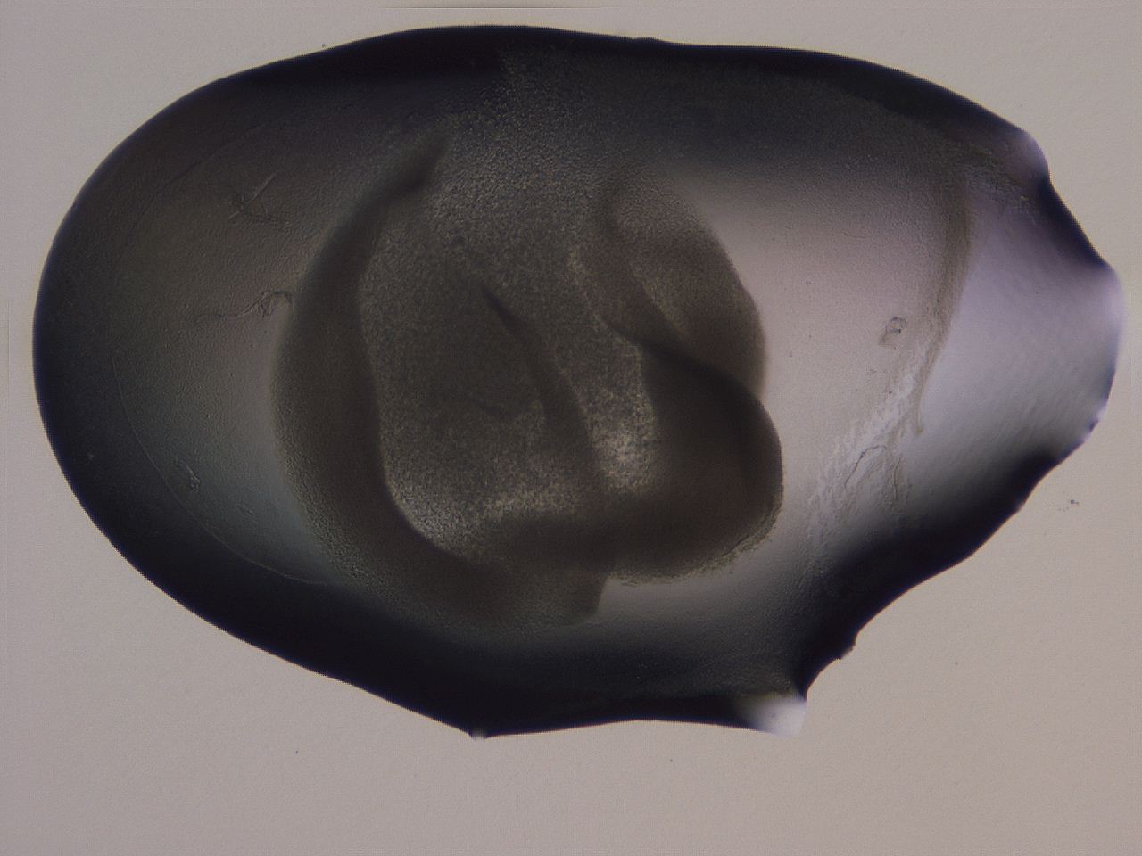 04g4_H10_ImagerDefaults_3.jpg