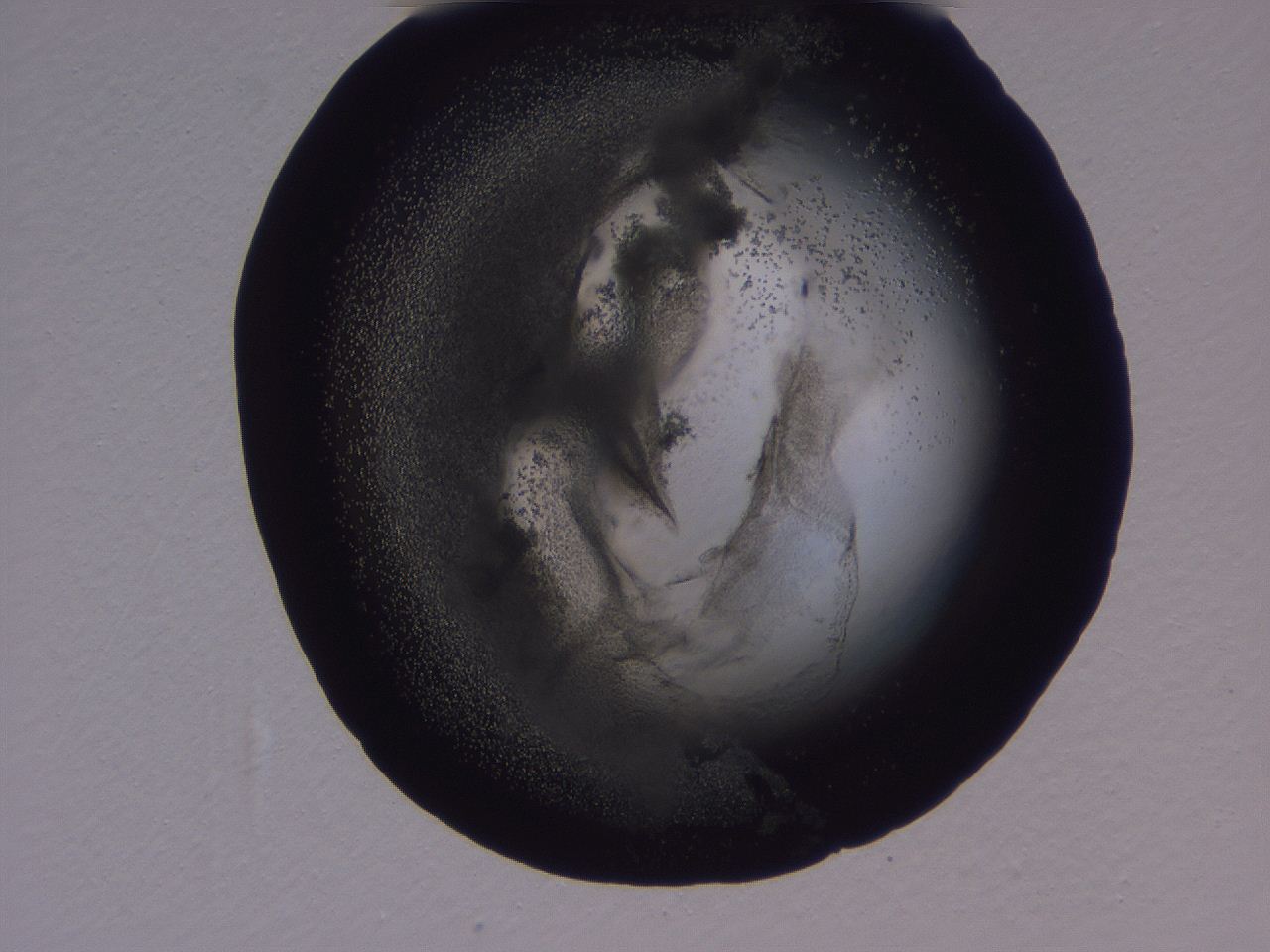04g4_H12_ImagerDefaults_3.jpg