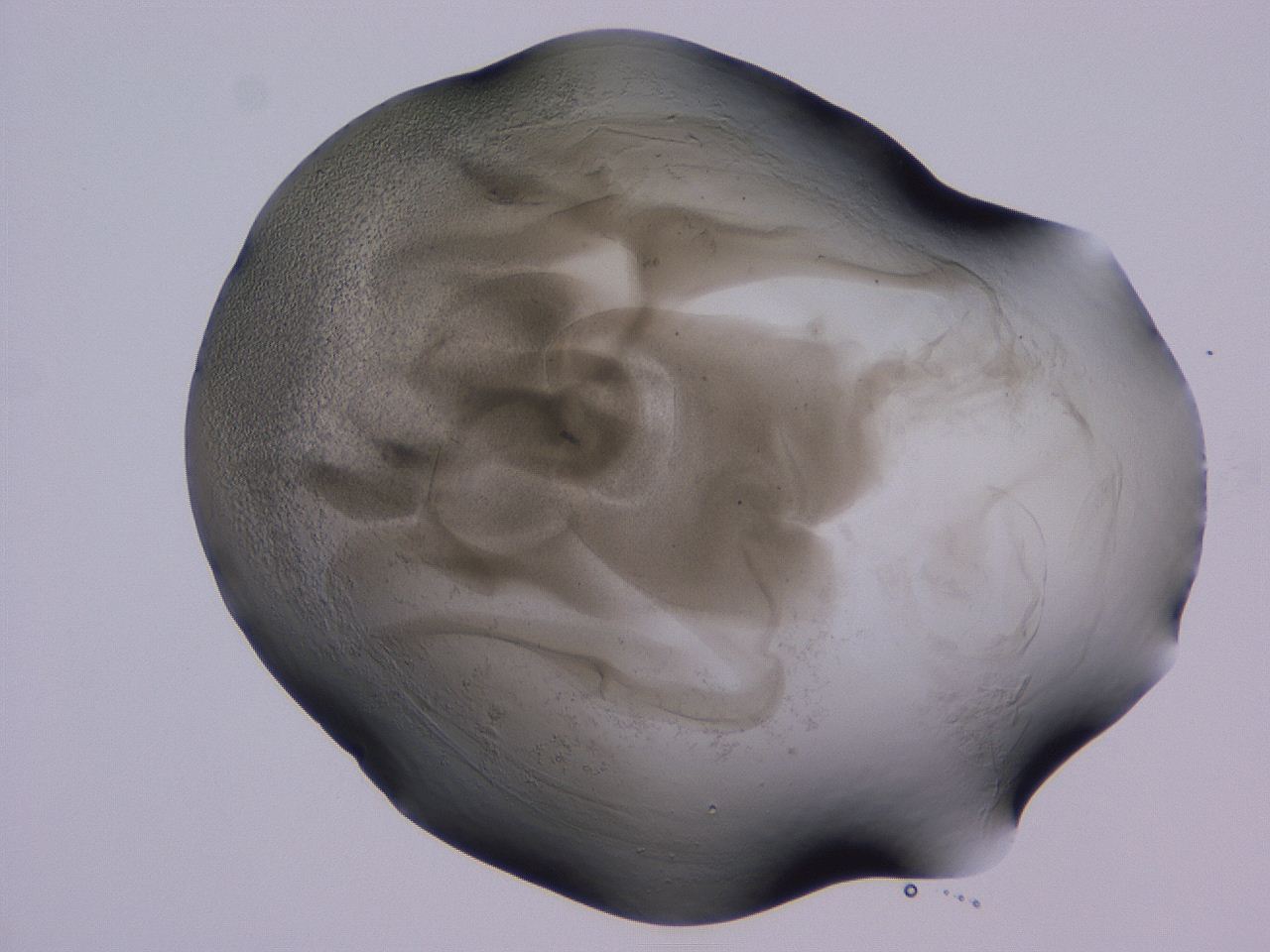04g5_B12_ImagerDefaults_3.jpg