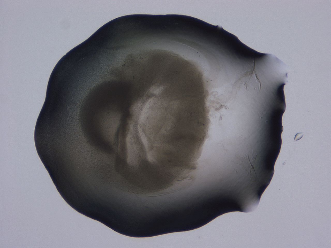 04g5_B11_ImagerDefaults_3.jpg