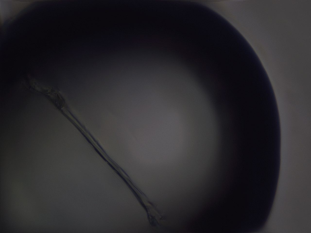 04g5_A8_ImagerDefaults_0.jpg