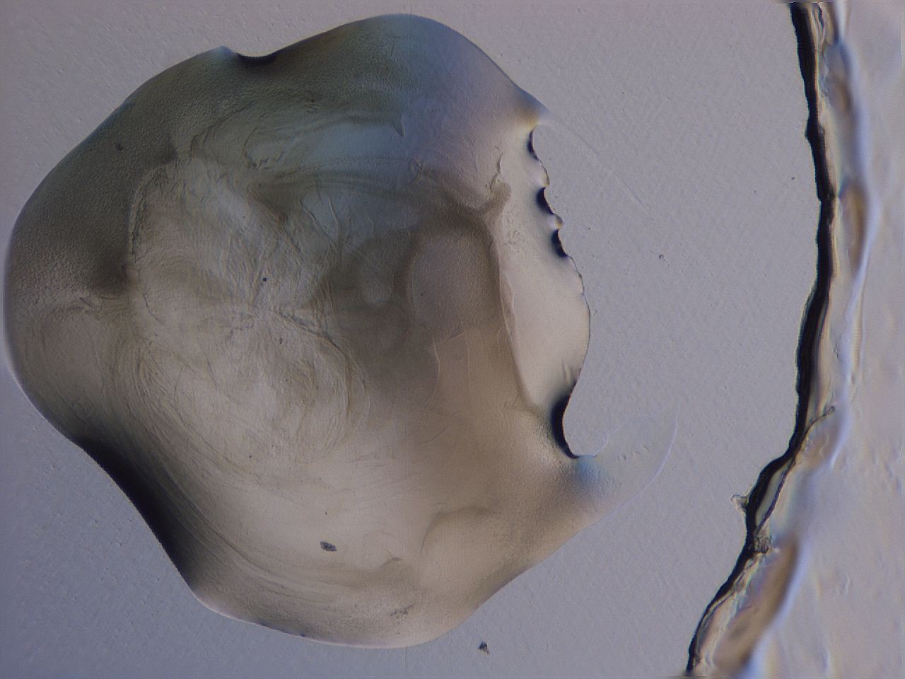 04g5_A10_ImagerDefaults_3.jpg