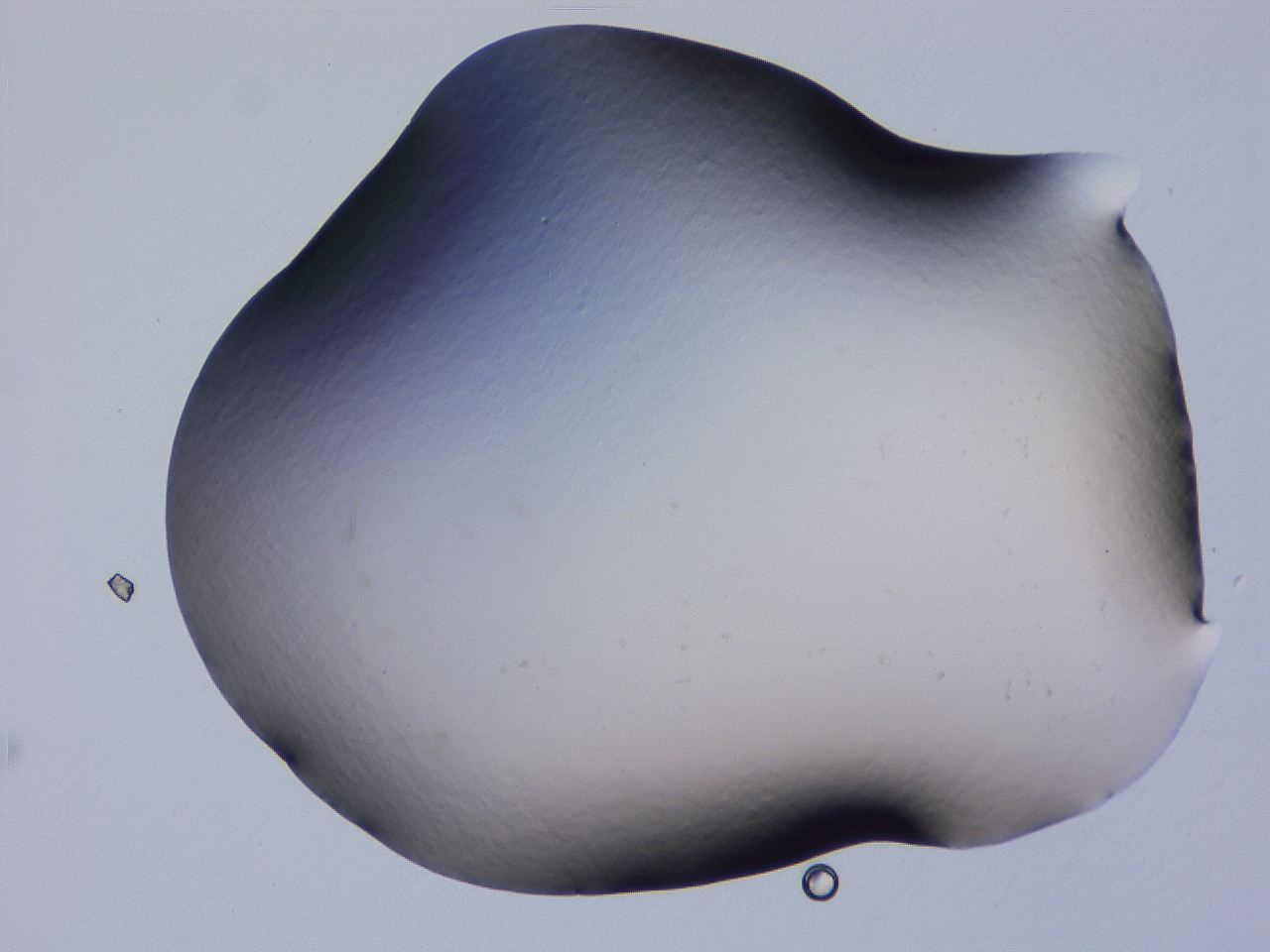 04g5_E5_ImagerDefaults_0.jpg