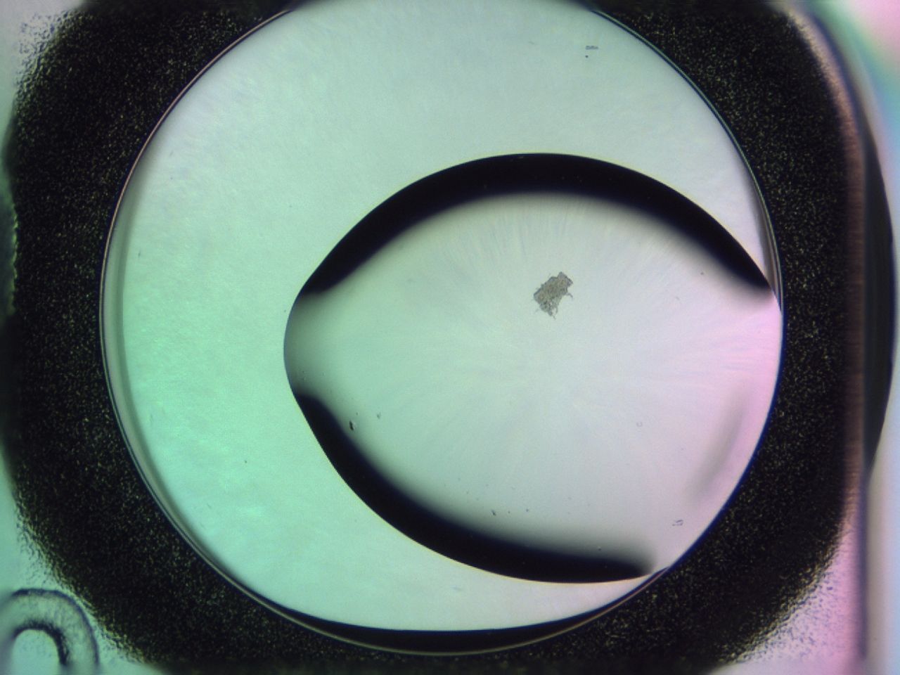 0174_D10_ImagerDefaults_1.jpg