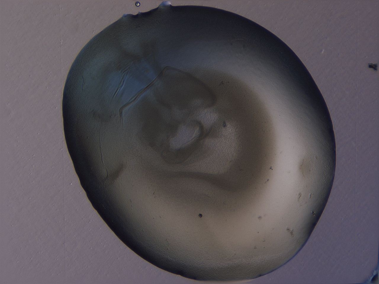 04g5_A1_ImagerDefaults_3.jpg