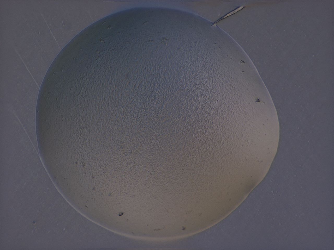 04g5_A5_ImagerDefaults_0.jpg