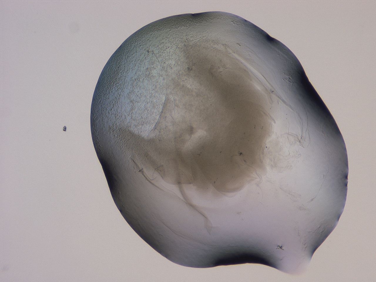 04g5_B2_ImagerDefaults_3.jpg