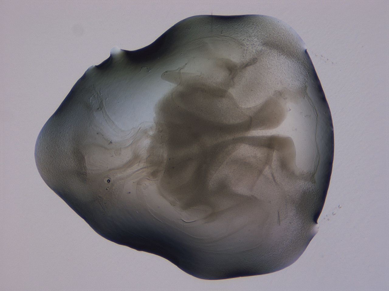 04g5_B10_ImagerDefaults_3.jpg