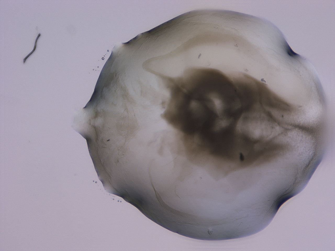 04g5_C10_ImagerDefaults_3.jpg