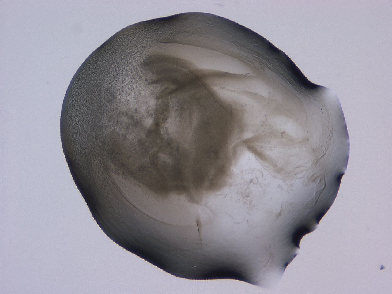 04g5_C11_ImagerDefaults_3.jpg
