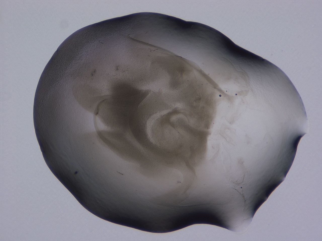 04g5_C12_ImagerDefaults_3.jpg