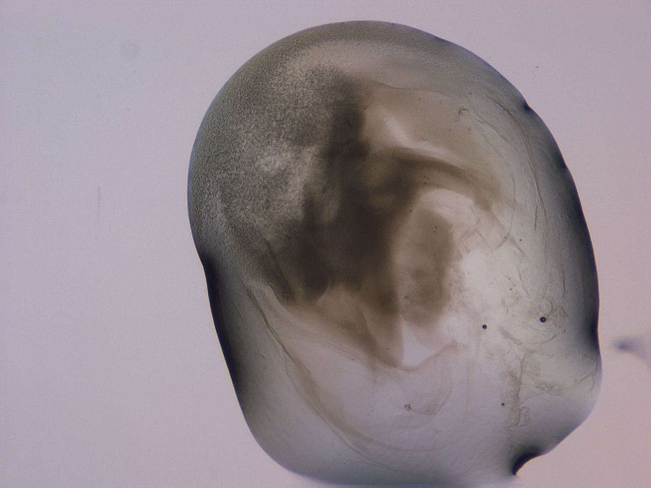 04g5_C2_ImagerDefaults_3.jpg