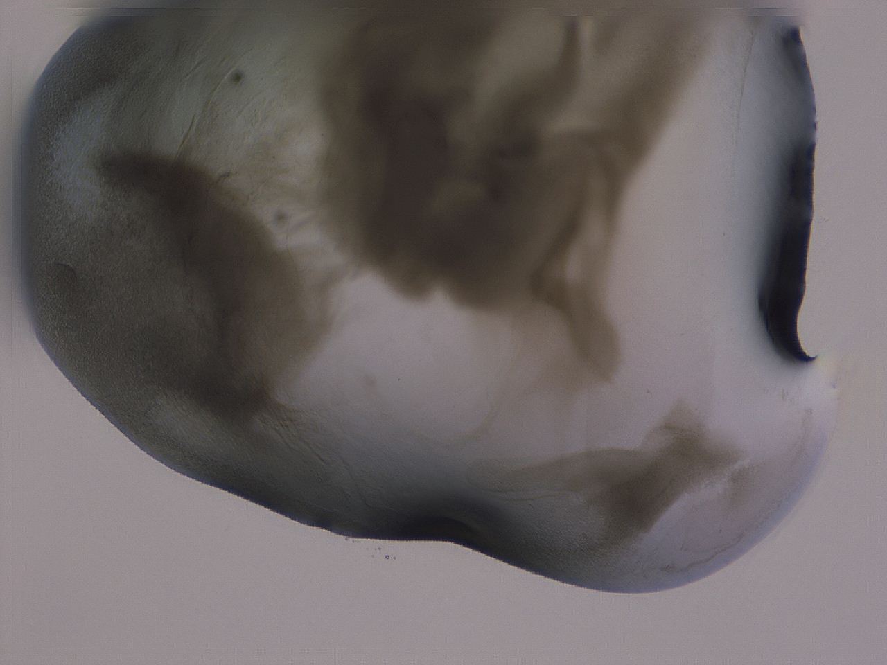 04g5_C6_ImagerDefaults_3.jpg