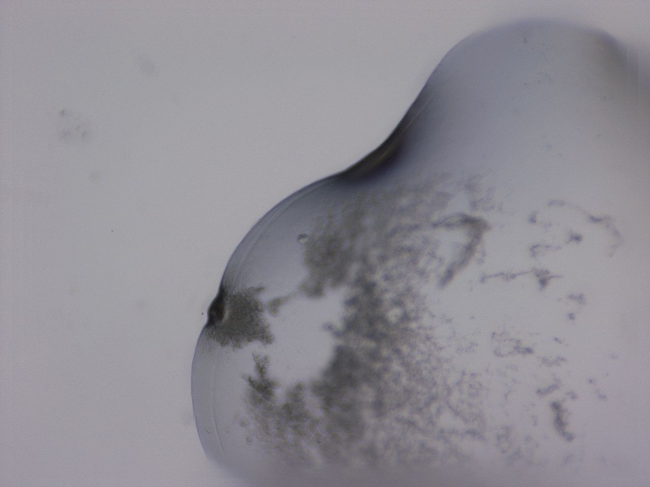 04g5_E11_ImagerDefaults_3.jpg