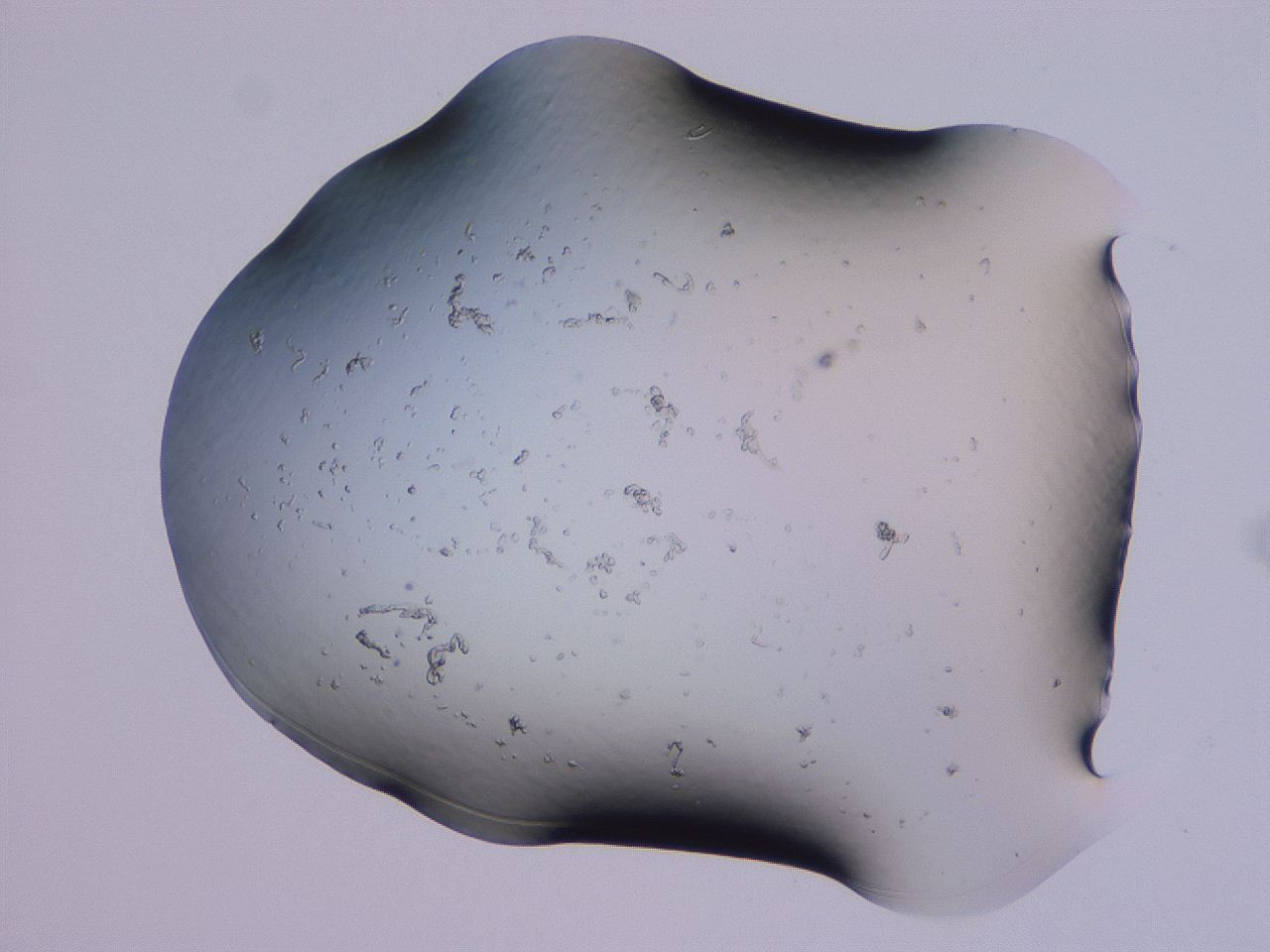 04g5_E12_ImagerDefaults_3.jpg