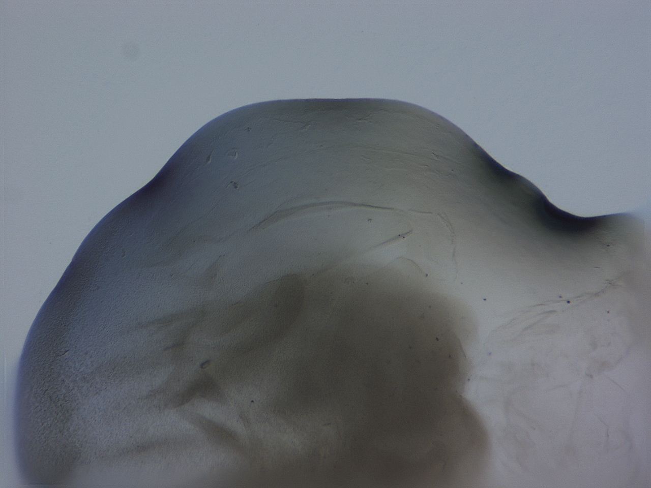 04g5_F2_ImagerDefaults_3.jpg
