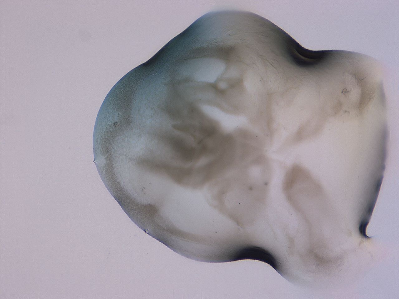 04g5_F4_ImagerDefaults_3.jpg