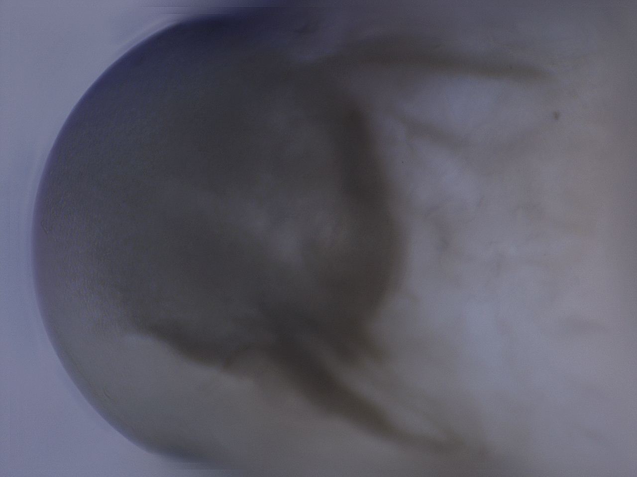 04g5_F6_ImagerDefaults_3.jpg