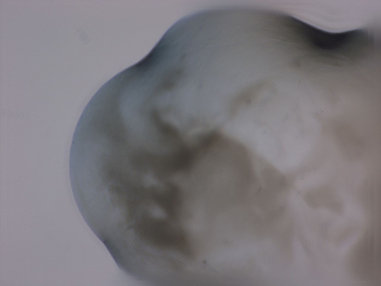 04g5_F9_ImagerDefaults_3.jpg