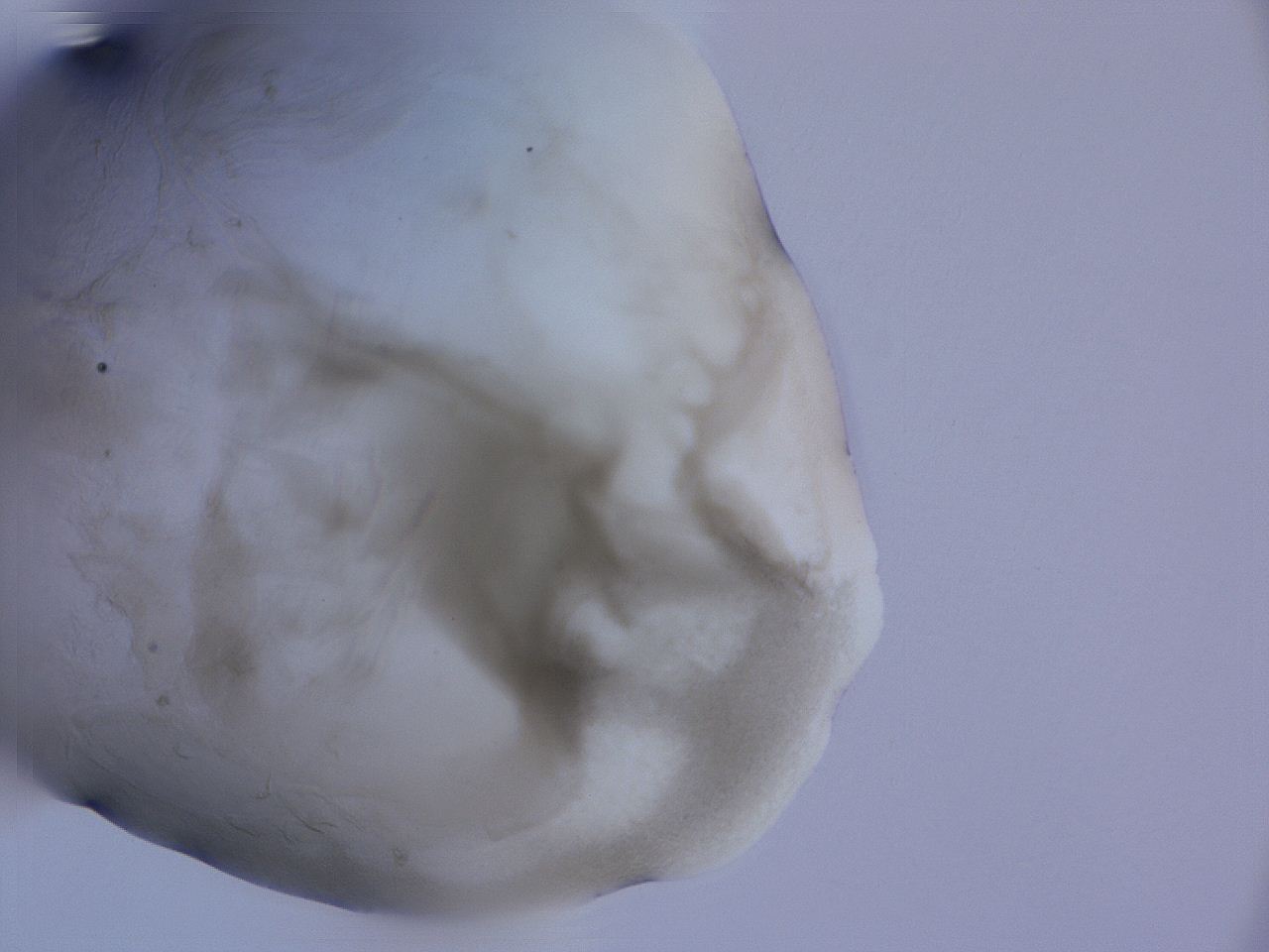 04g5_F10_ImagerDefaults_3.jpg