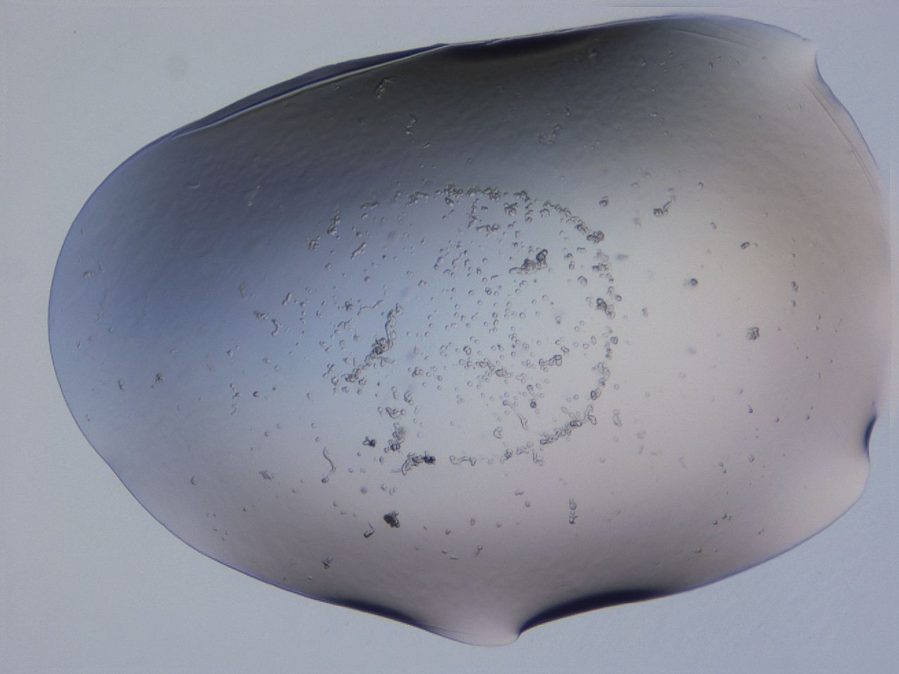 04g5_G1_ImagerDefaults_3.jpg