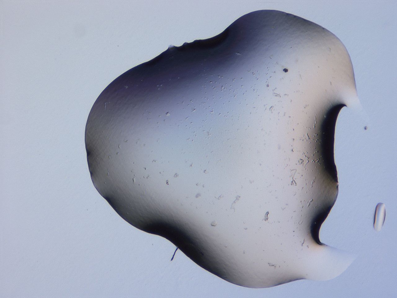04g5_G5_ImagerDefaults_0.jpg