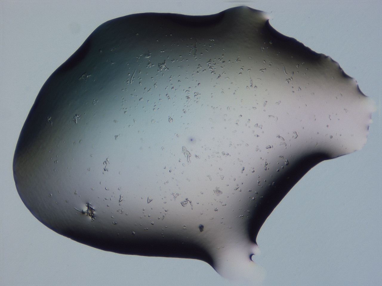 04g5_G6_ImagerDefaults_0.jpg