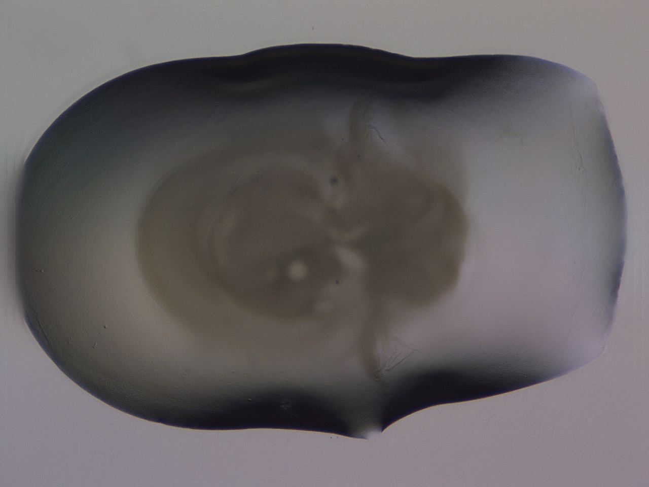 04g5_H7_ImagerDefaults_3.jpg