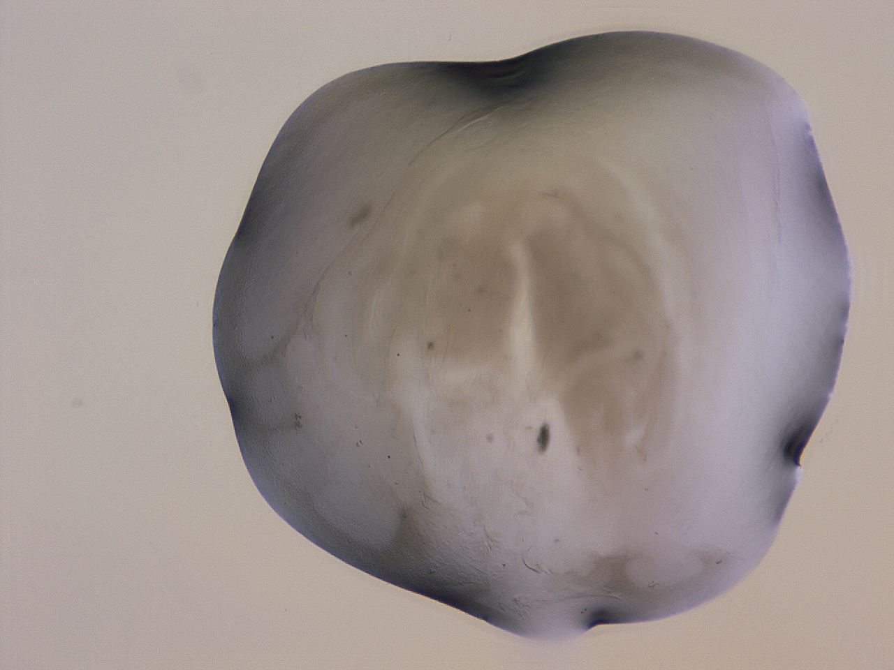04g5_H10_ImagerDefaults_3.jpg