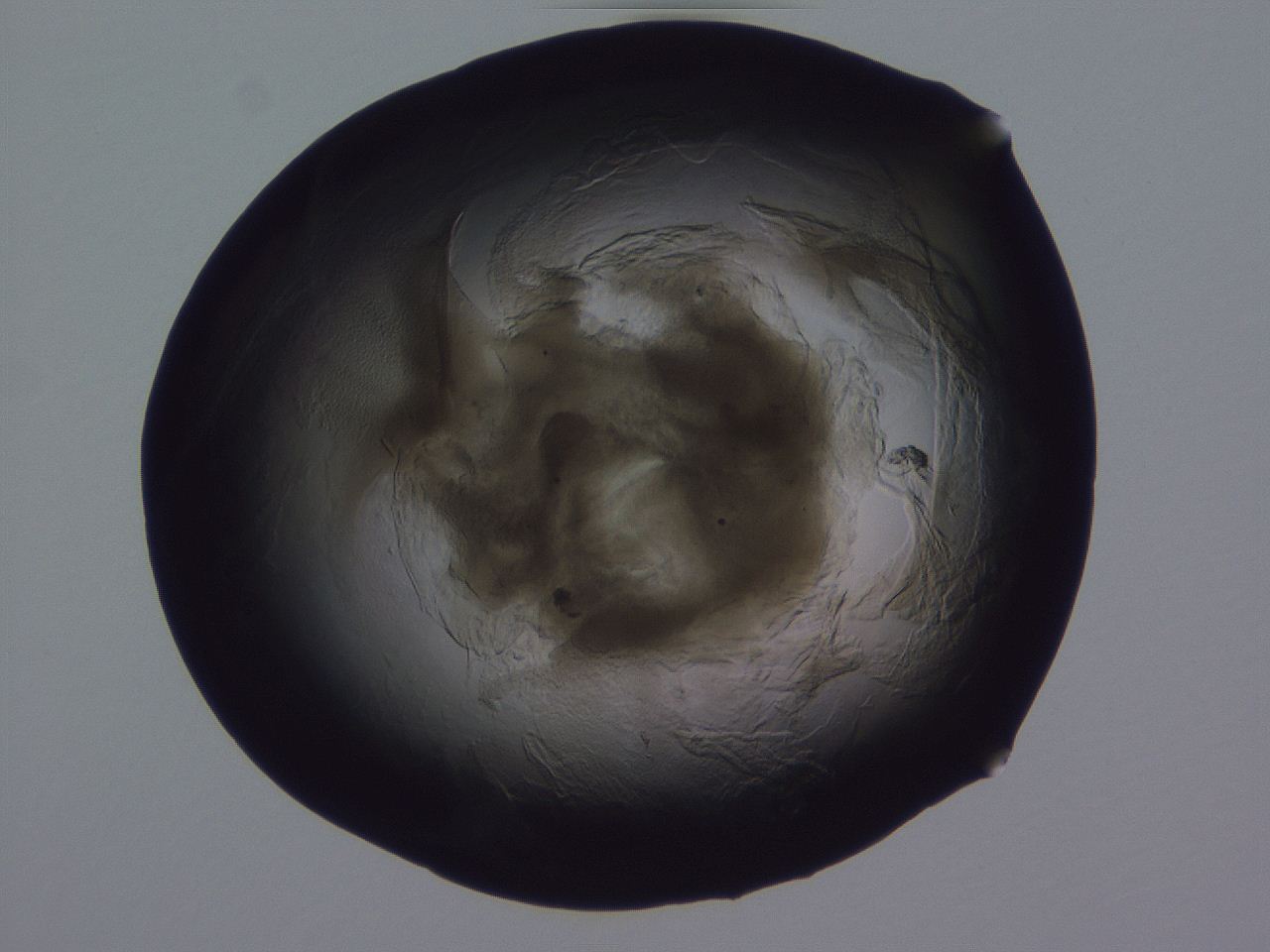 04g5_H11_ImagerDefaults_3.jpg