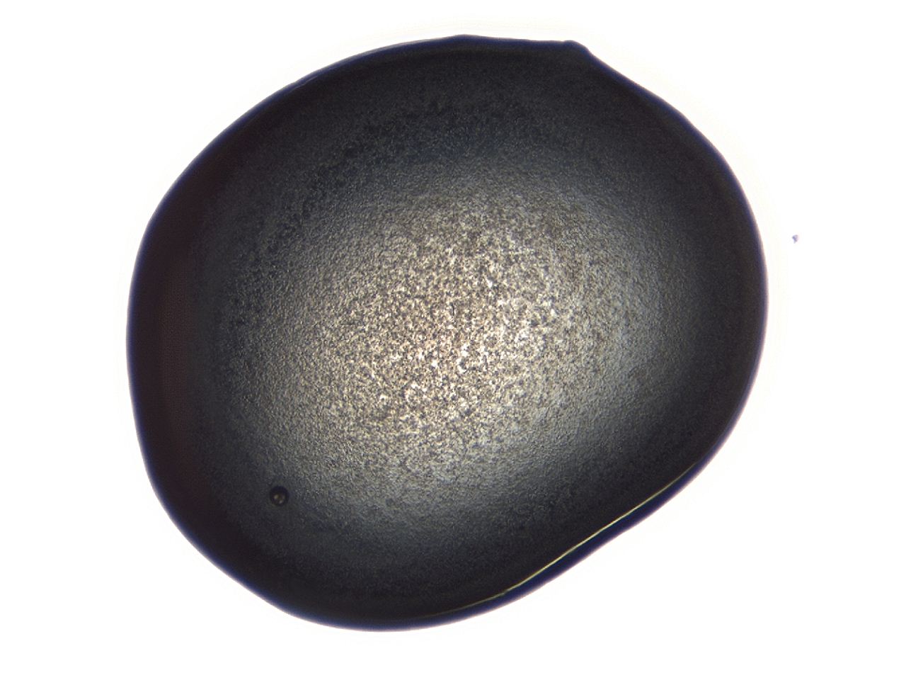 04g7_A1_ImagerDefaults_3.jpg