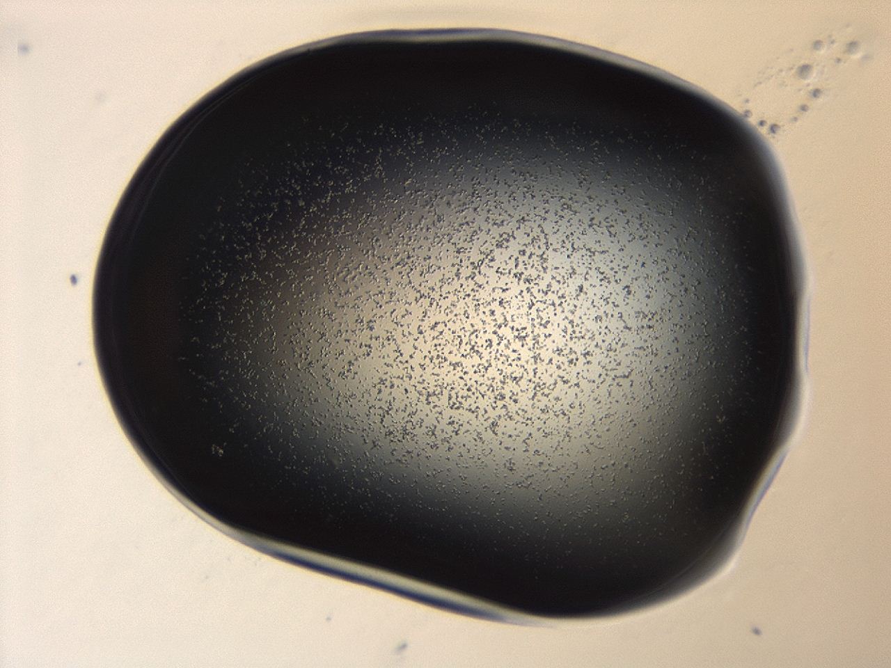 04g7_A5_ImagerDefaults_0.jpg