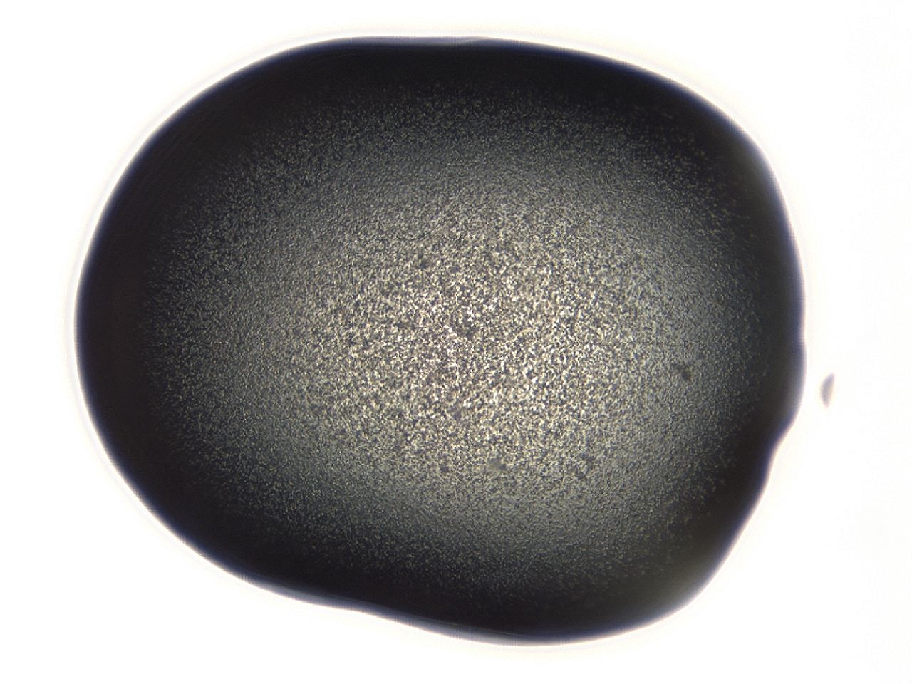 04g7_A4_ImagerDefaults_3.jpg