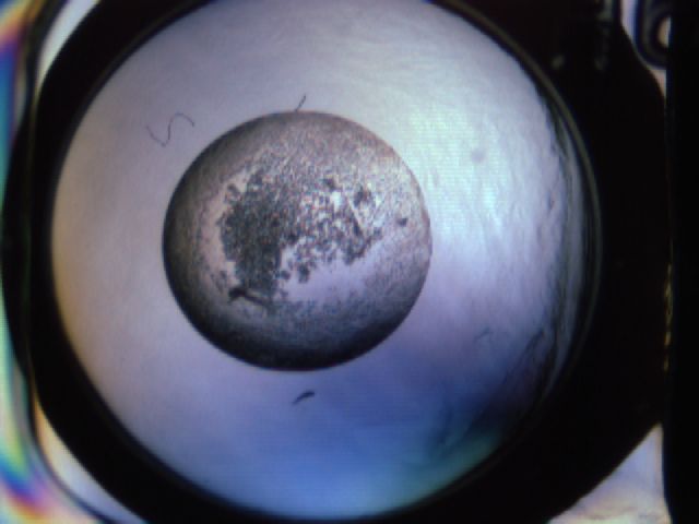folderID668_plateID668_batchID821_wellNum48_profileID1_d1_r15774_ef.jpg