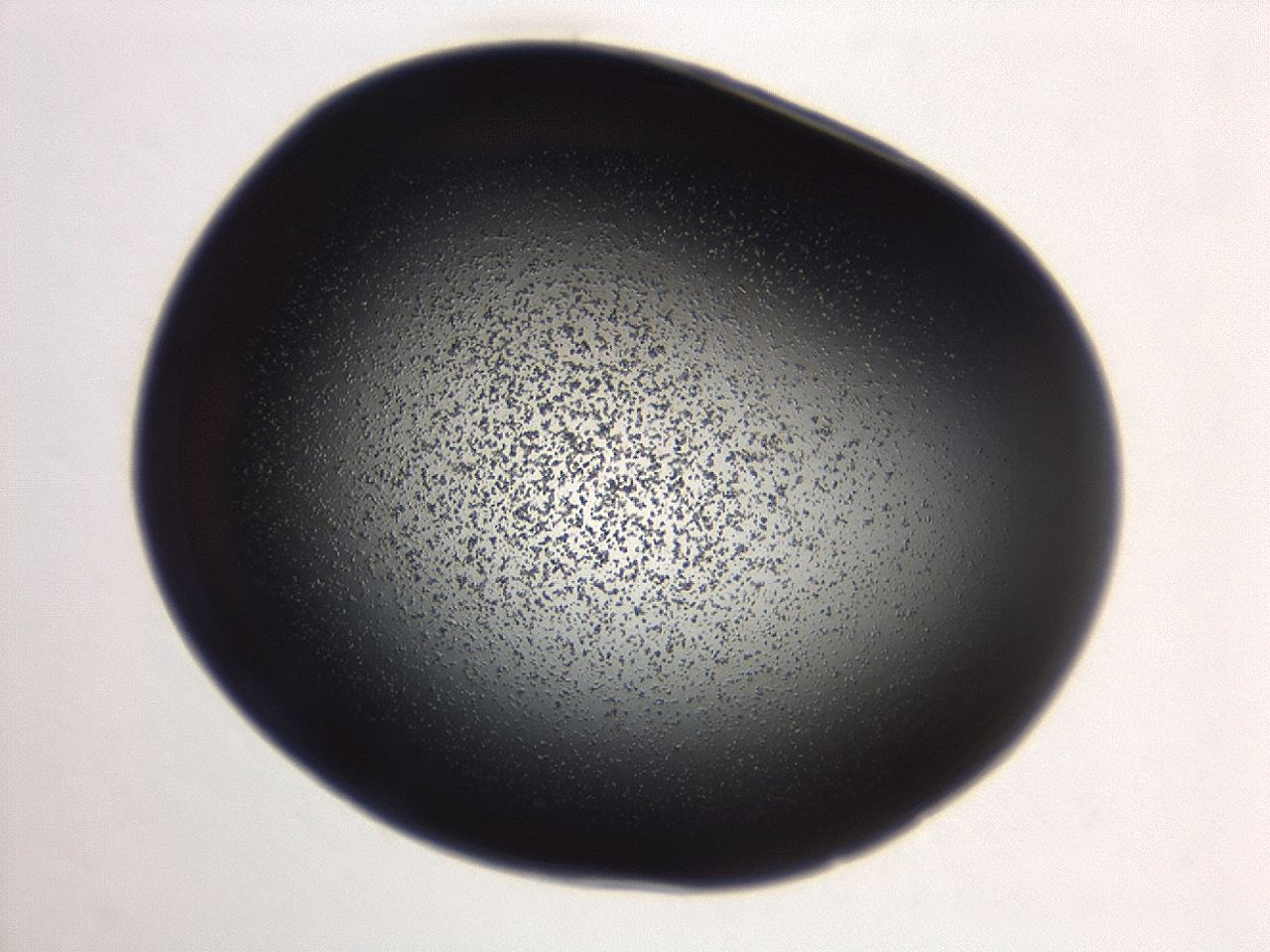 04g7_A3_ImagerDefaults_3.jpg
