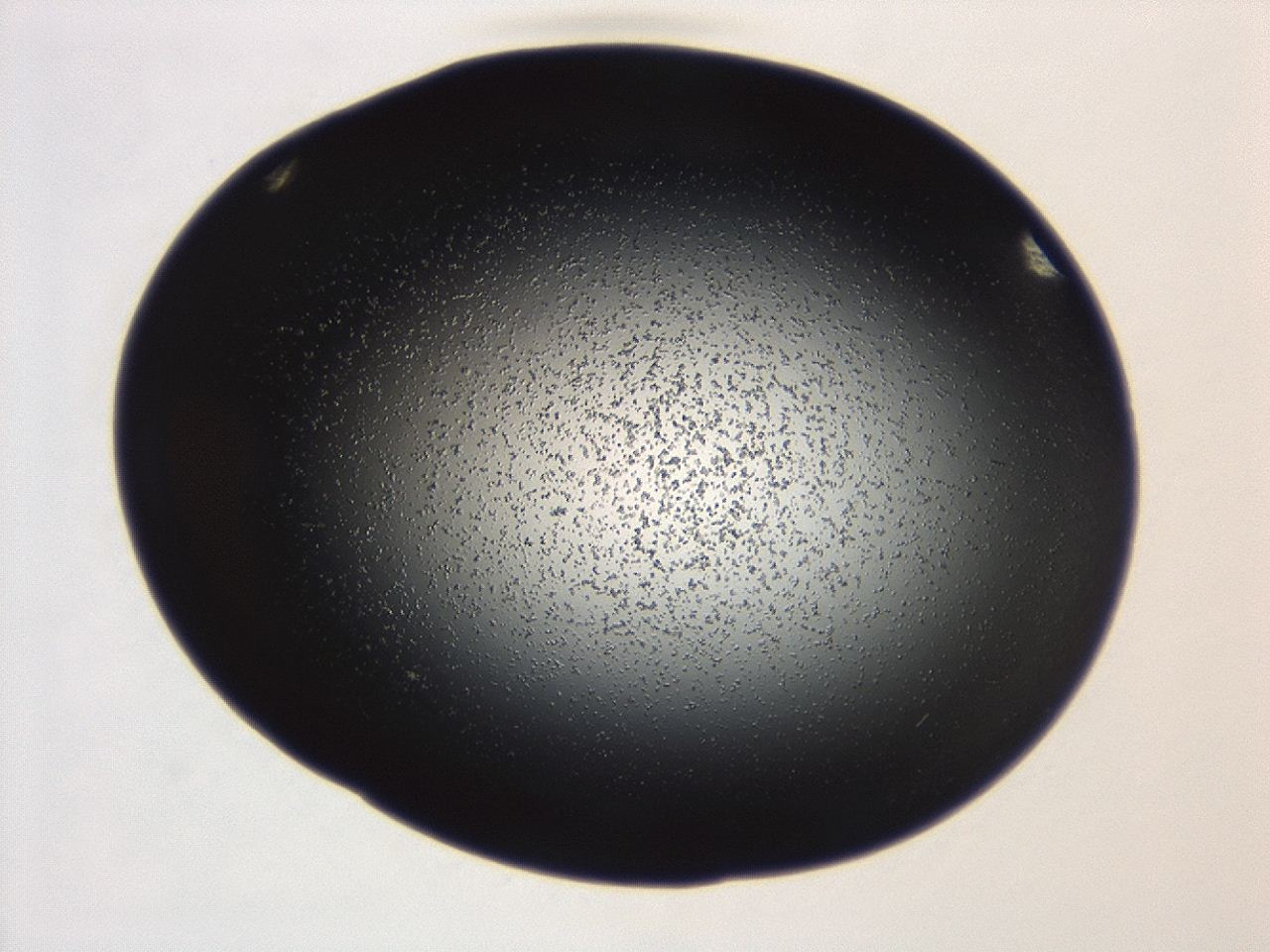 04g7_A8_ImagerDefaults_0.jpg