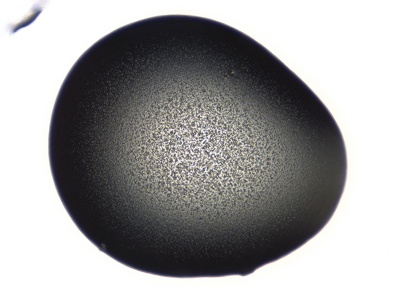 04g7_A9_ImagerDefaults_3.jpg