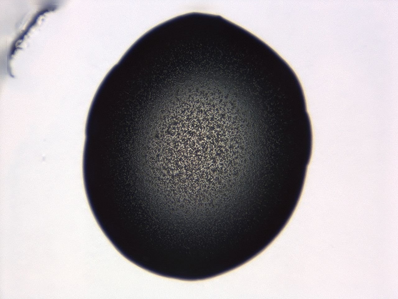 04g7_C10_ImagerDefaults_3.jpg