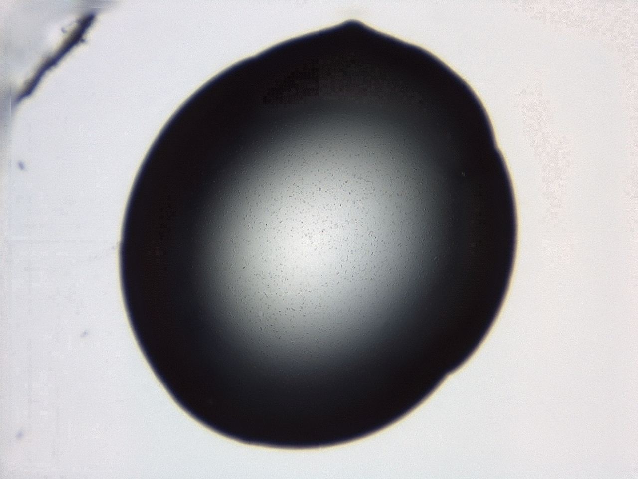 04g7_C11_ImagerDefaults_0.jpg