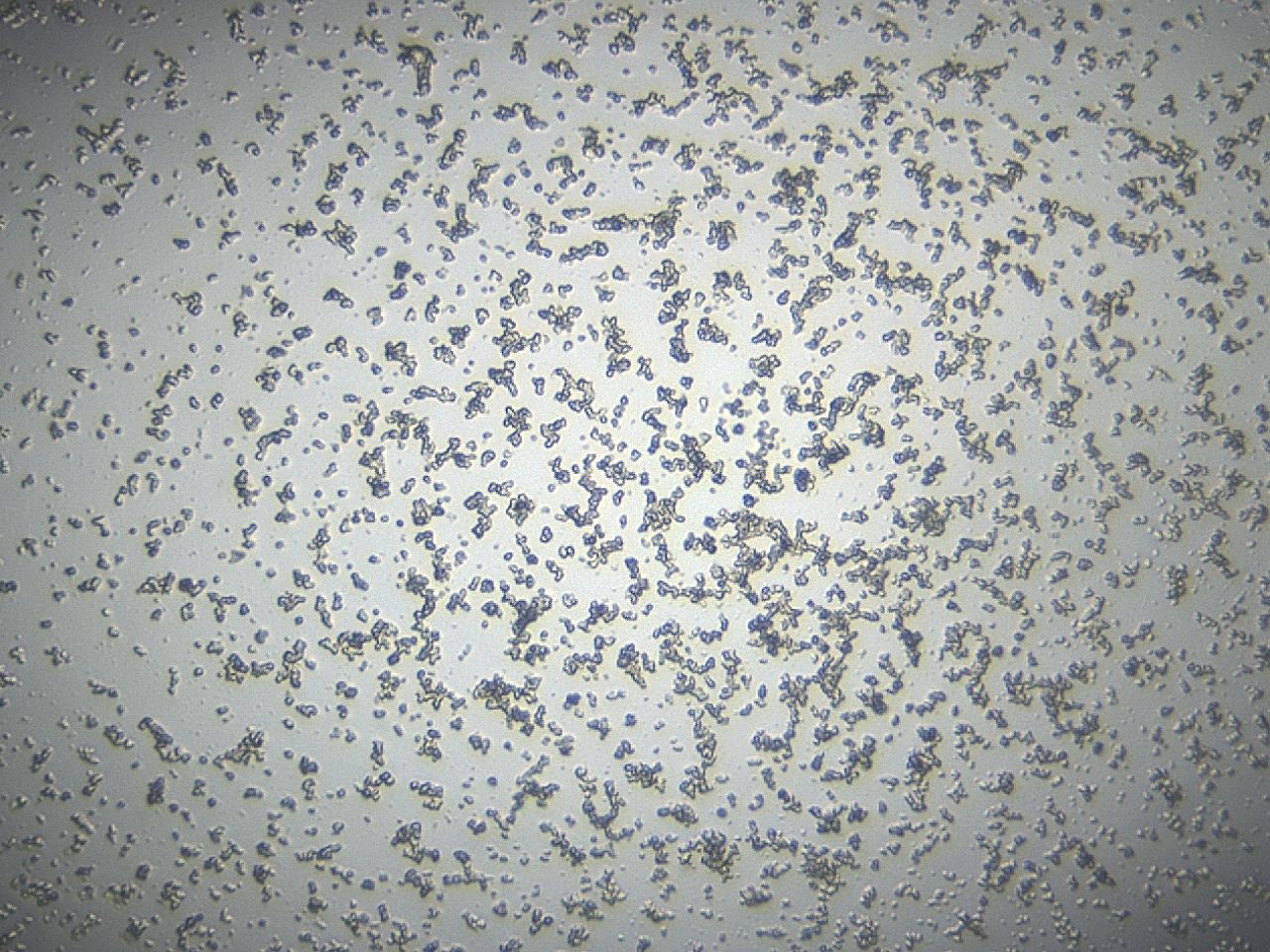 04g7_C12_ImagerDefaults_0.jpg