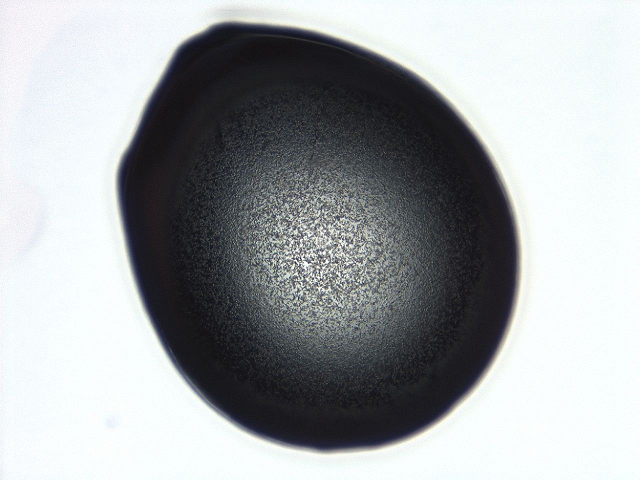 04g7_D1_ImagerDefaults_3.jpg
