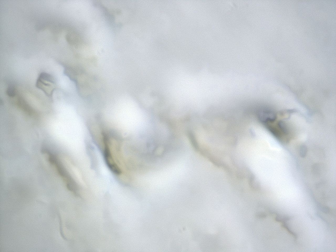 04g7_D12_ImagerDefaults_3.jpg
