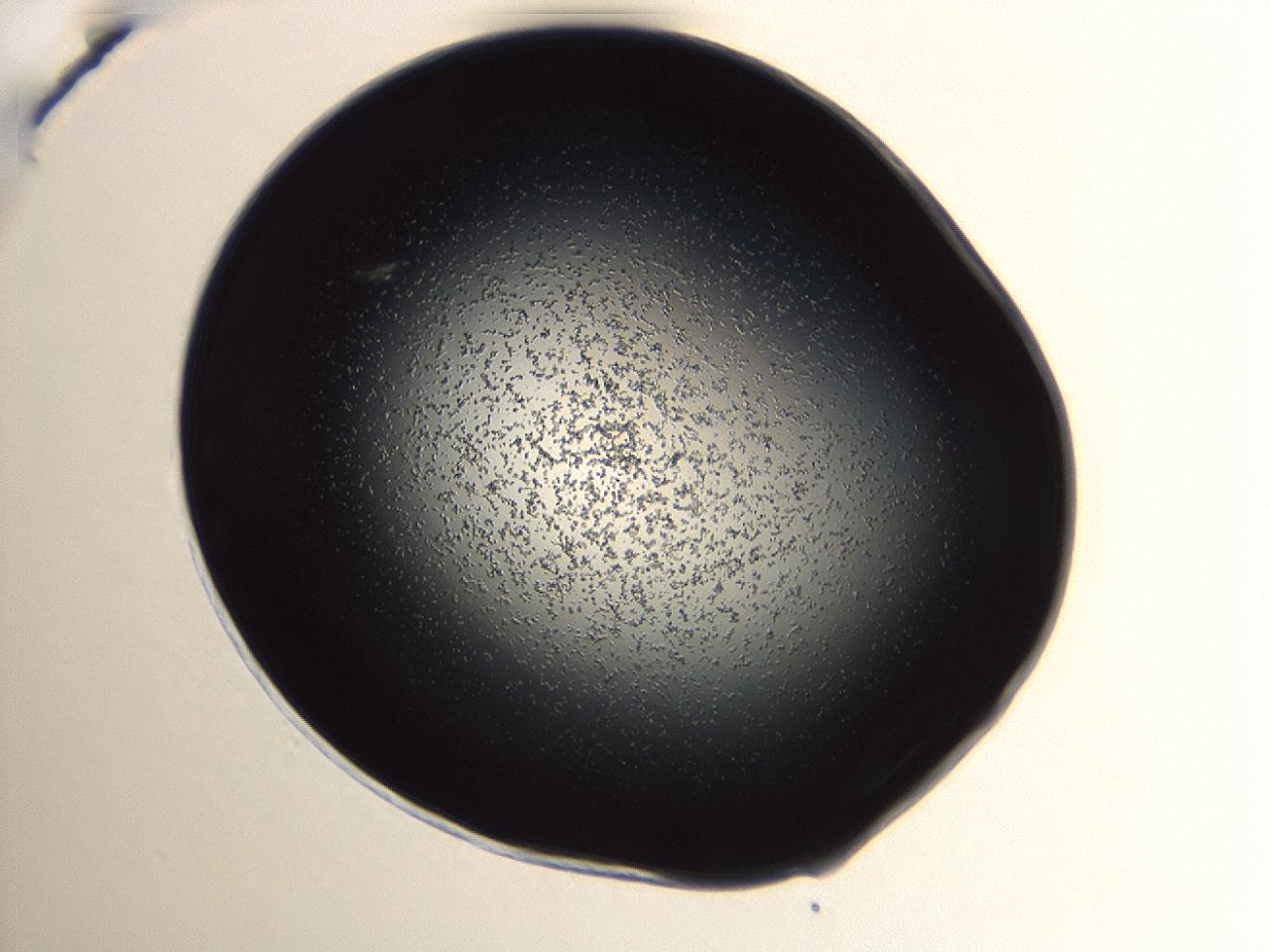 04g7_A11_ImagerDefaults_0.jpg
