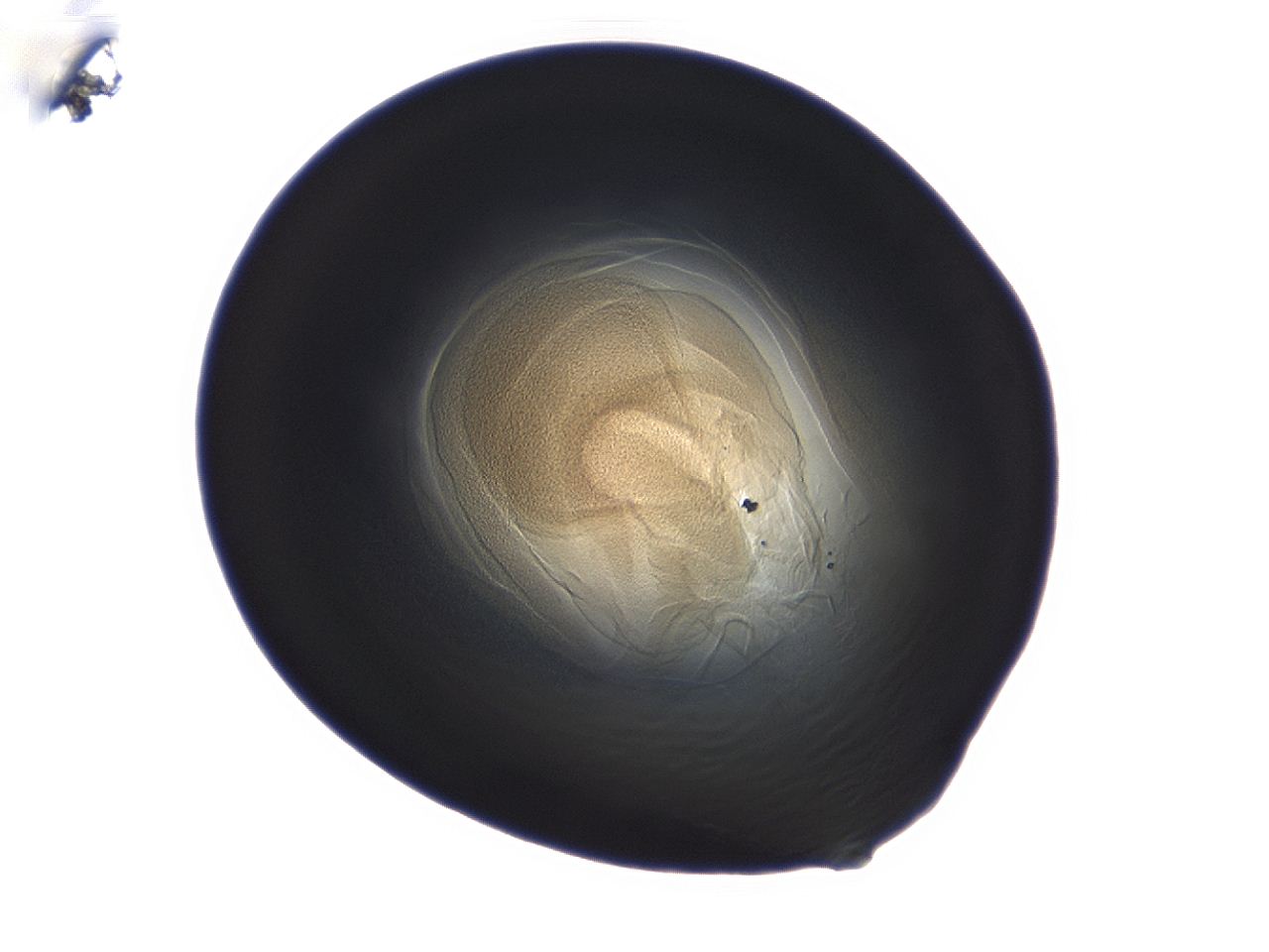 04g7_A12_ImagerDefaults_3.jpg