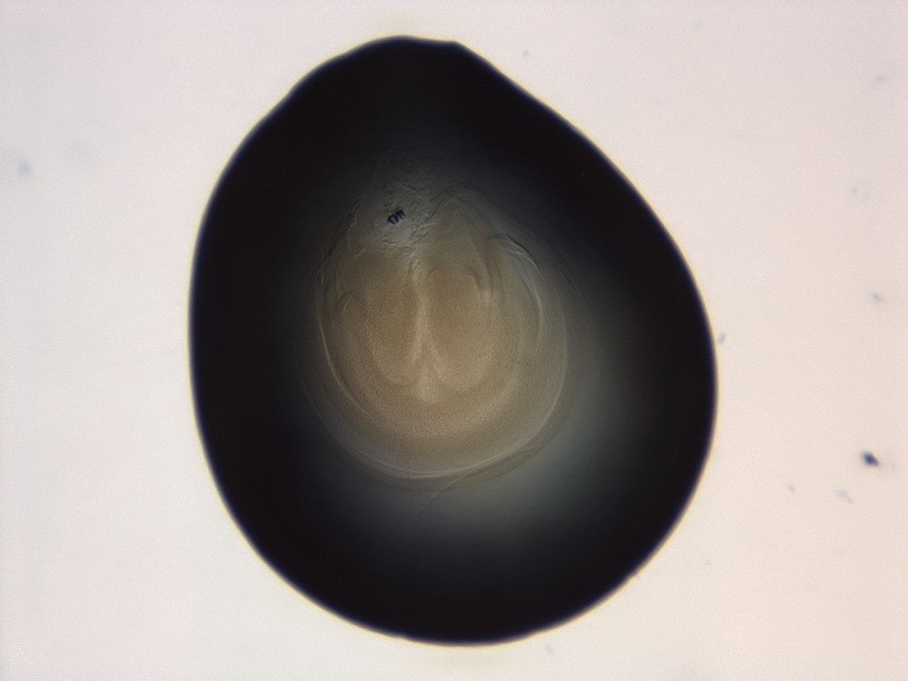 04g7_B1_ImagerDefaults_3.jpg