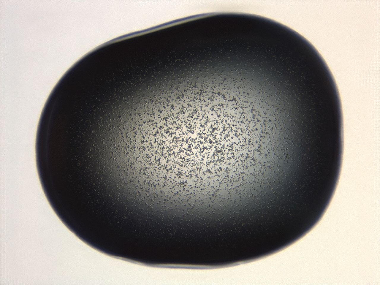 04g7_B2_ImagerDefaults_3.jpg