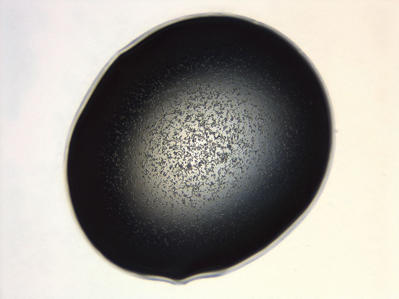 04g7_B3_ImagerDefaults_3.jpg